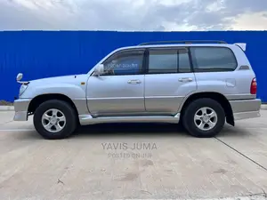 Toyota Land Cruiser 2002 Gray