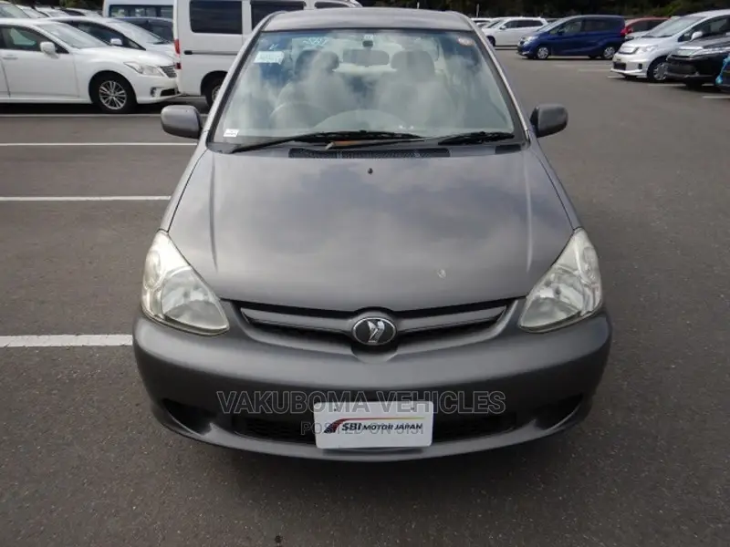 Toyota Platz 2005 Gray