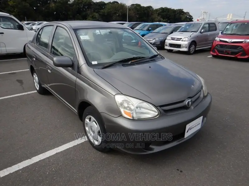 Toyota Platz 2005 Gray