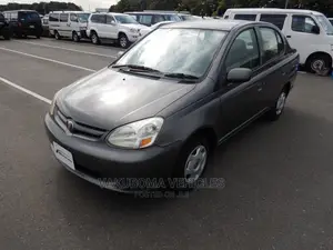 Toyota Platz 2005 Gray