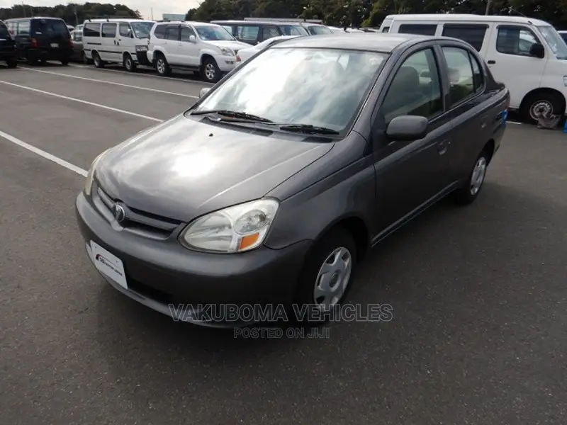 Toyota Platz 2005 Gray