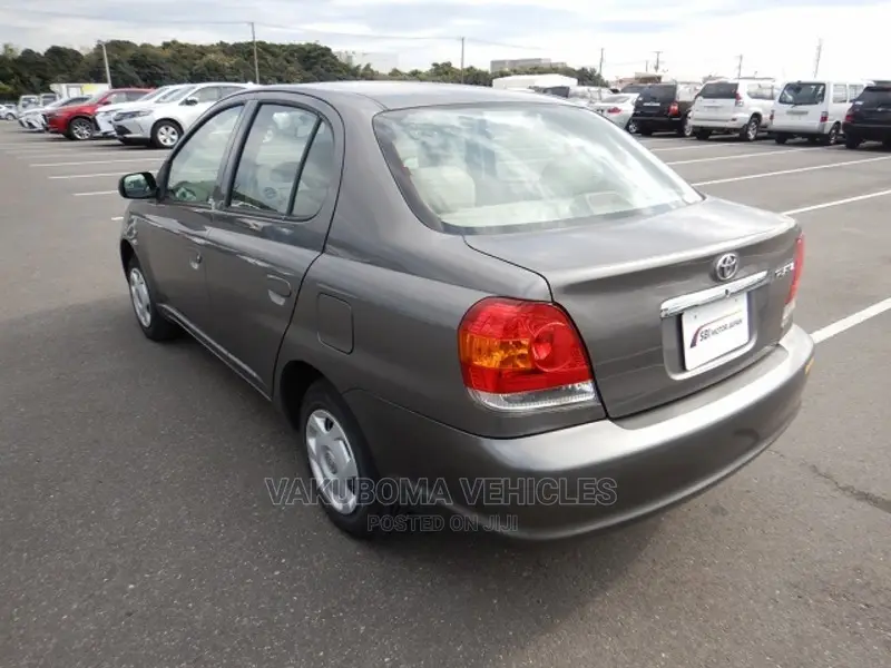 Toyota Platz 2005 Gray