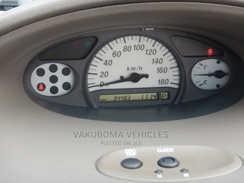 Toyota Platz 2005 Gray