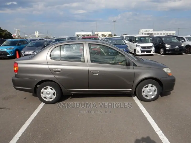 Toyota Platz 2005 Gray