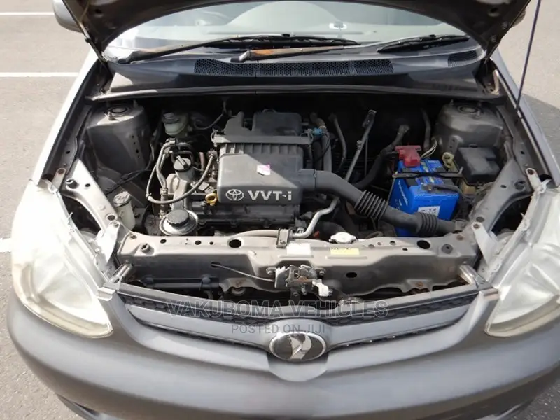 Toyota Platz 2005 Gray