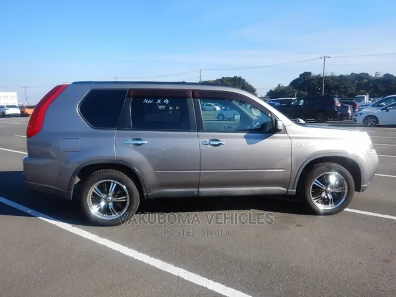 Nissan X-Trail 2010 Silver