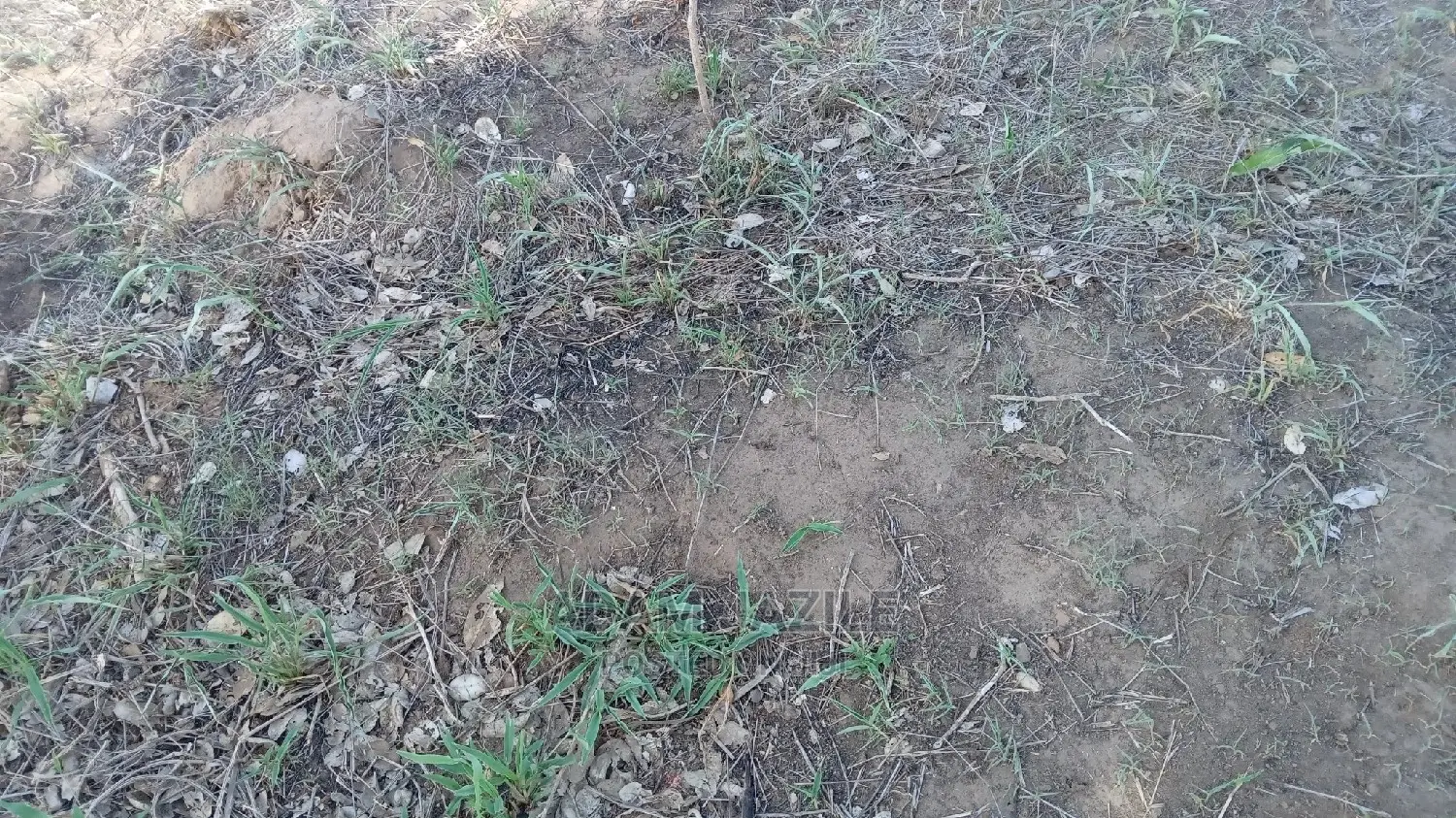 Shamba Linauzwa Bagamoyo Chalinze Mwetemo