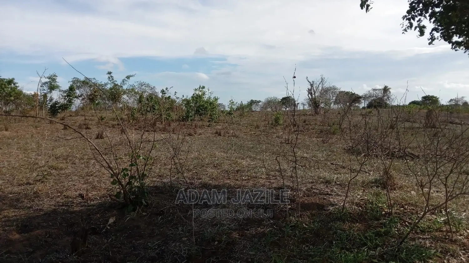 Shamba Linauzwa Bagamoyo Chalinze Mwetemo
