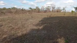 Shamba Linauzwa Bagamoyo Chalinze Mwetemo