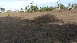 Shamba Linauzwa Bagamoyo Chalinze Mwetemo