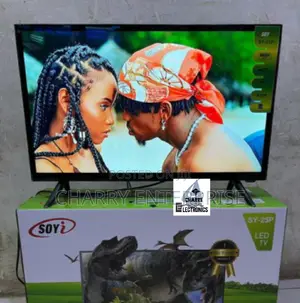 Soyi High Quality Tv 25 Inch