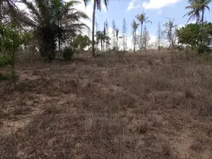 Kiwanja Karibu Na Lami
