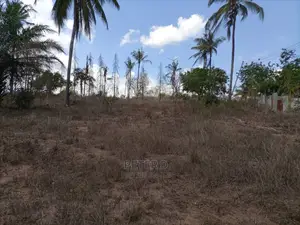 Kiwanja Tambarale