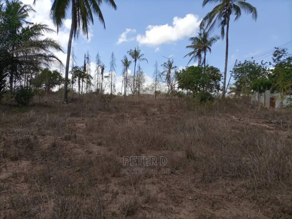 Kiwanja Tambarale