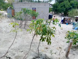 Kiwanja Chenye Nyumba