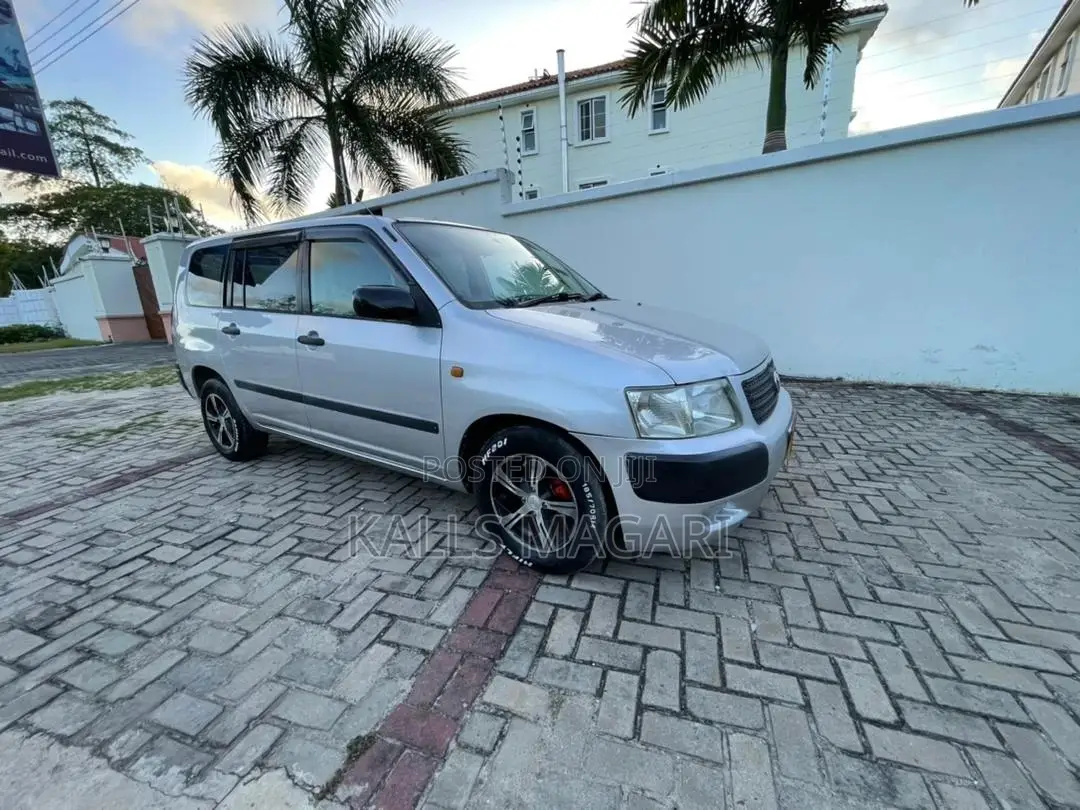 Toyota Probox 2004 Silver