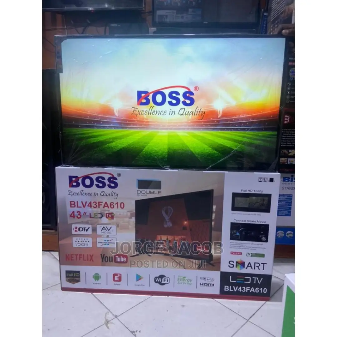 Smart BLV43FA610 Flat Screen Tv