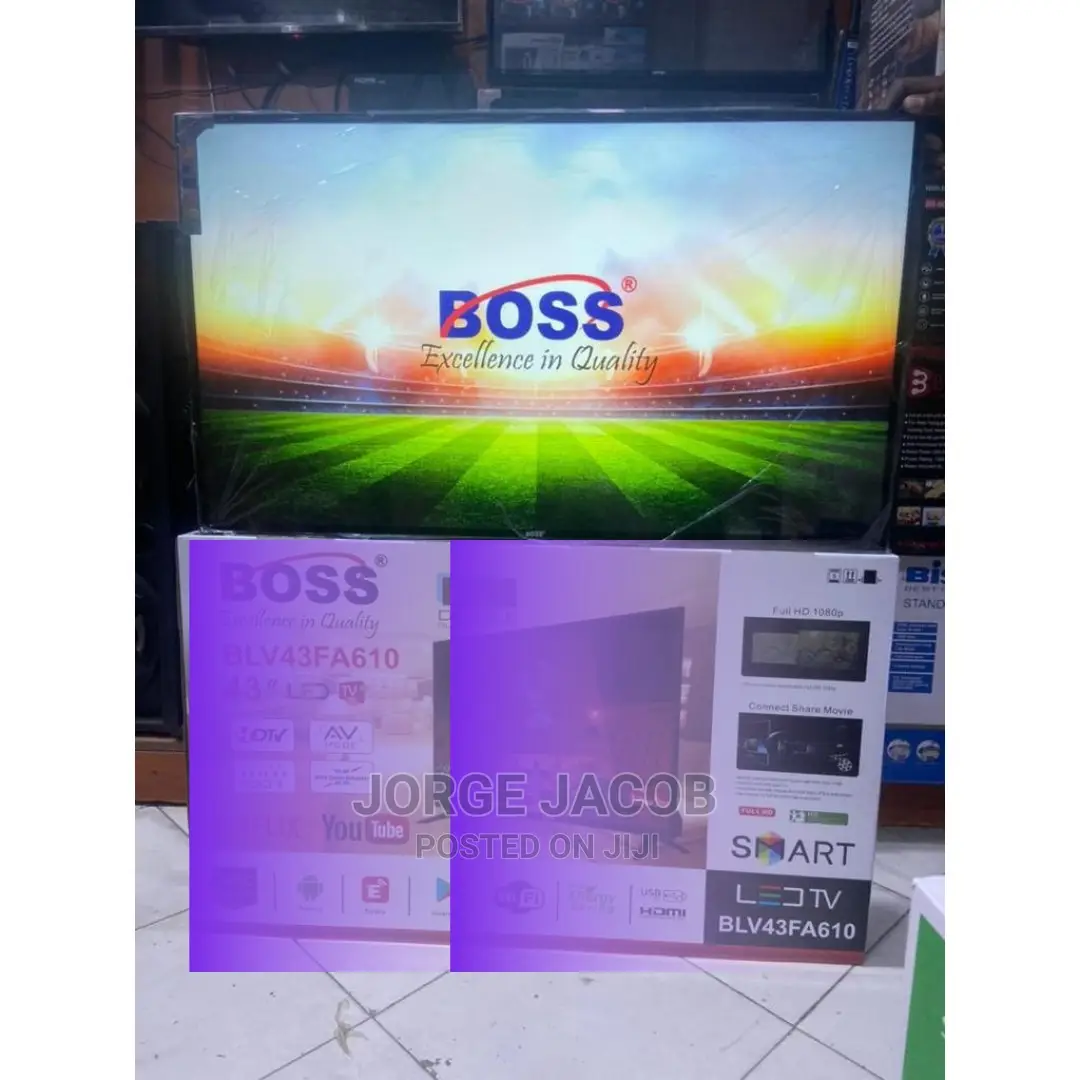 Smart BLV43FA610 Flat Screen Tv