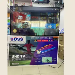 Smart BLV55FA710 Flat Screen Tv