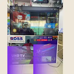 Smart BLV55FA710 Flat Screen Tv