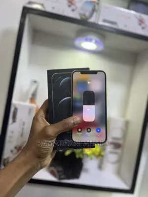 Apple iPhone 12 Pro 256 GB Silver
