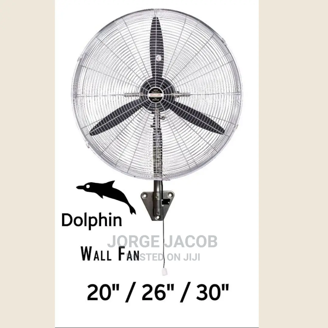 Wall Mounted Fan