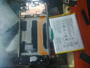 Vivo in Og LCD Replacement