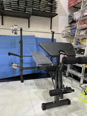 BENCH PRESS (Weight Lifting Bench)