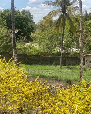 Kibamba Luguruni Mita 100 Toka Lami
