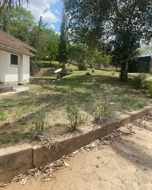 Kibamba Luguruni Mita 100 Toka Lami