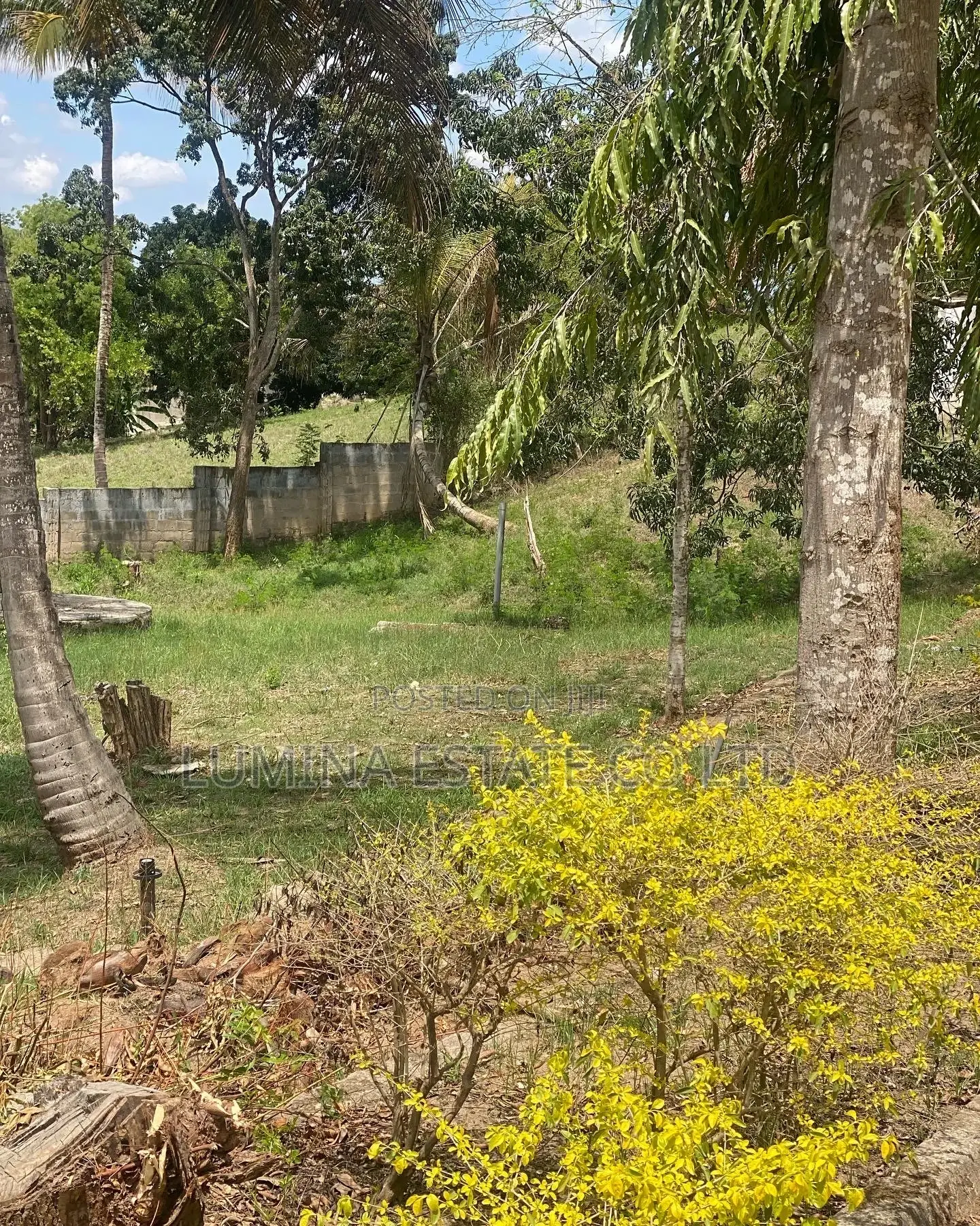 Kibamba Luguruni Mita 100 Toka Lami