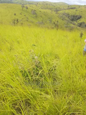 Shamba Bora Kwa Kilimo Cha Kumwagilia