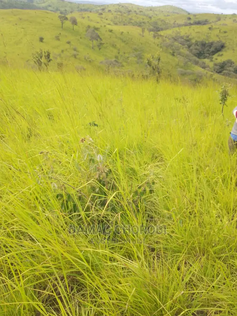 Shamba Bora Kwa Kilimo Cha Kumwagilia
