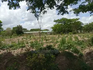 Shamba Kubwa Linauzwa Mkata Tanga