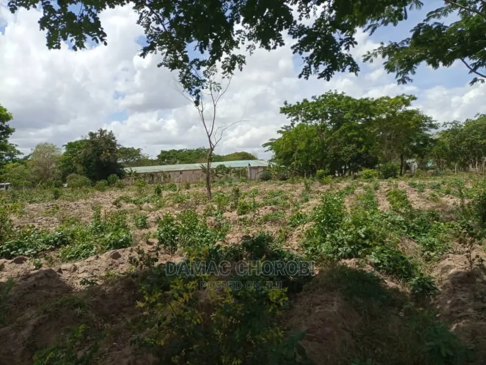 Shamba Kubwa Linauzwa Mkata Tanga