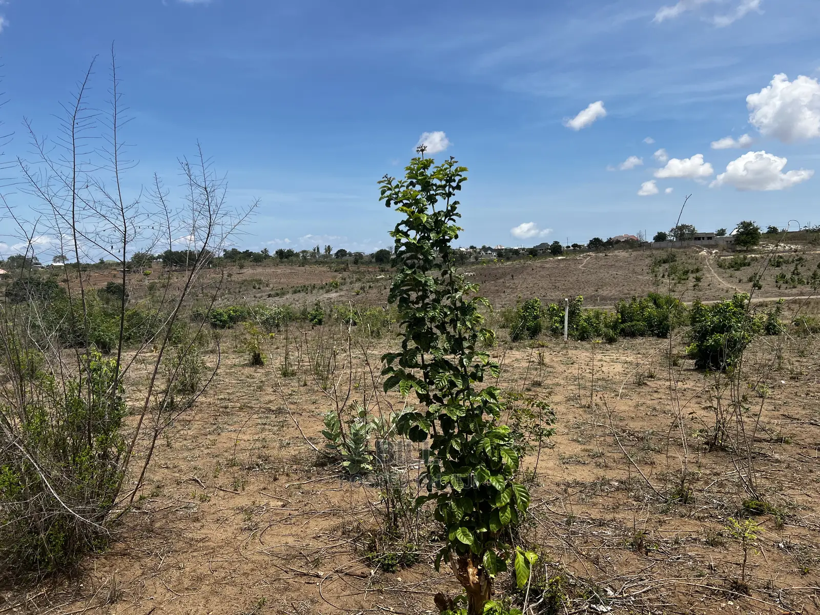 Plot for Sale Bunju Mabwepande