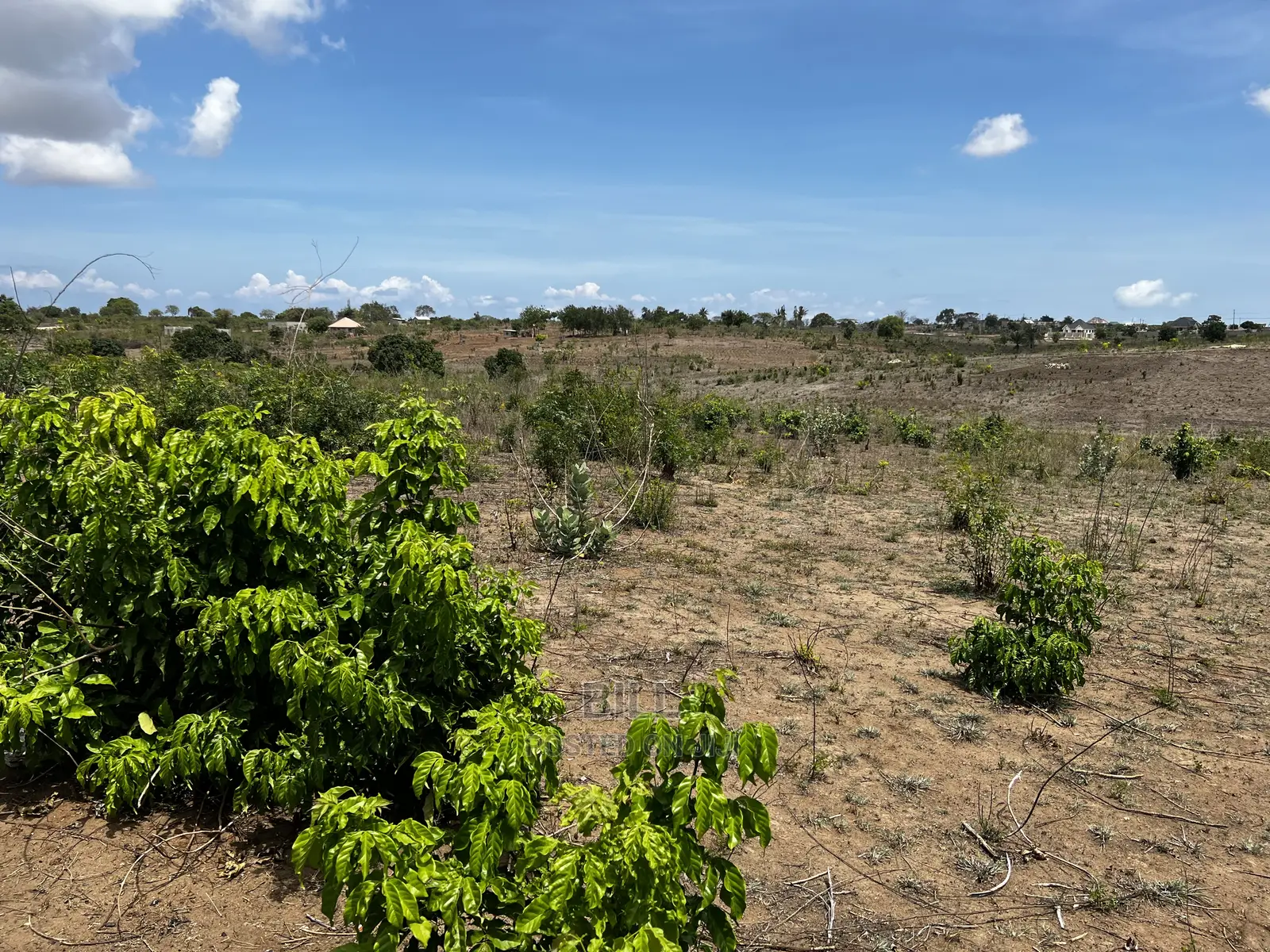 Plot for Sale Bunju Mabwepande