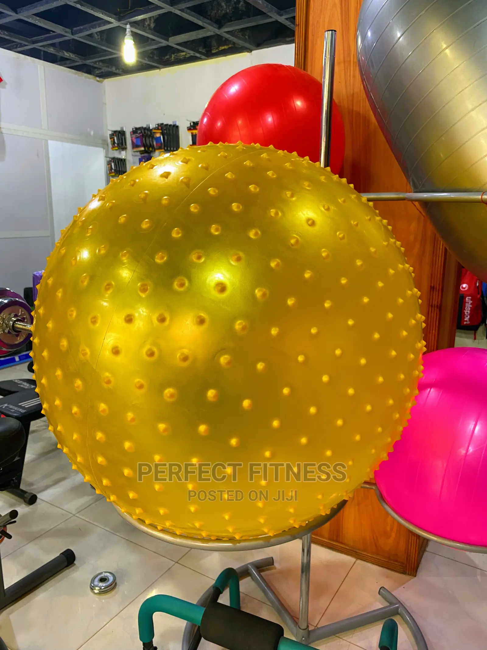 Exercise Ball