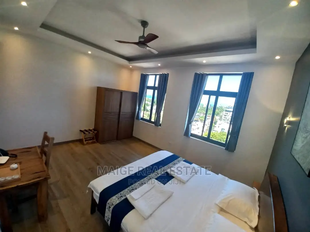 Furnished 1bdrm Apartment in Masaki for Rent