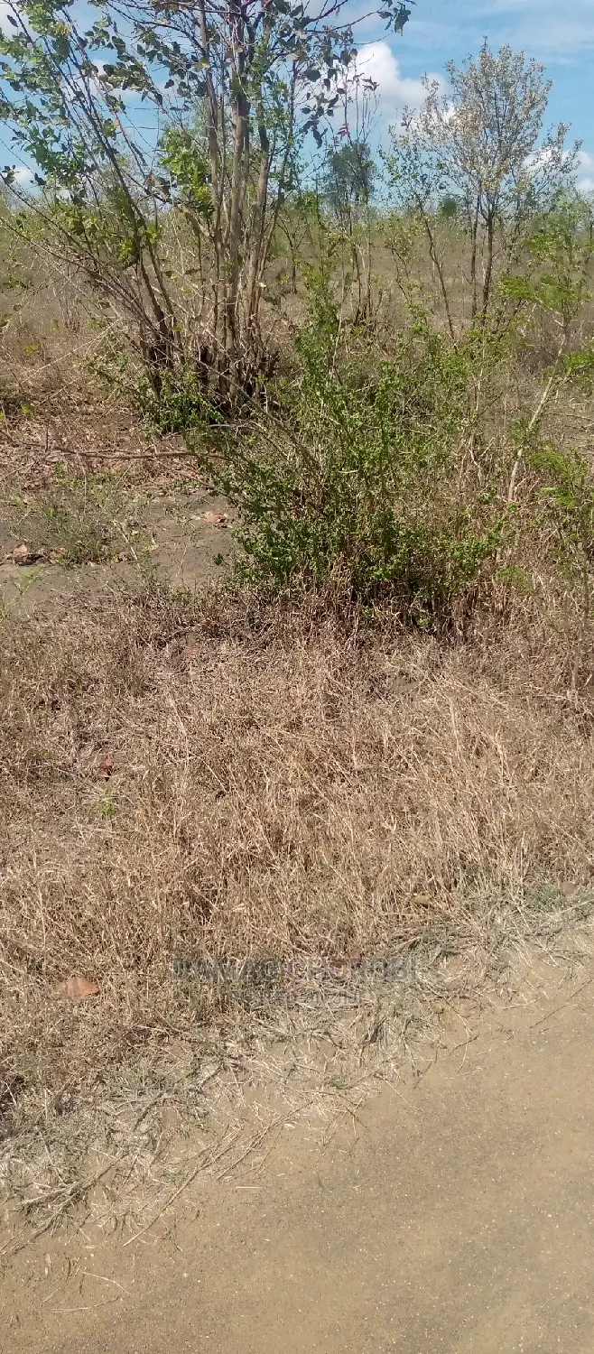 Shamba Kubwa Kwa Kilimo Cha Kumwagilia Linauzwa Tanga Pangan