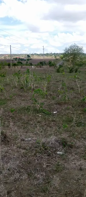 Acre 1000 Mkata for Sale