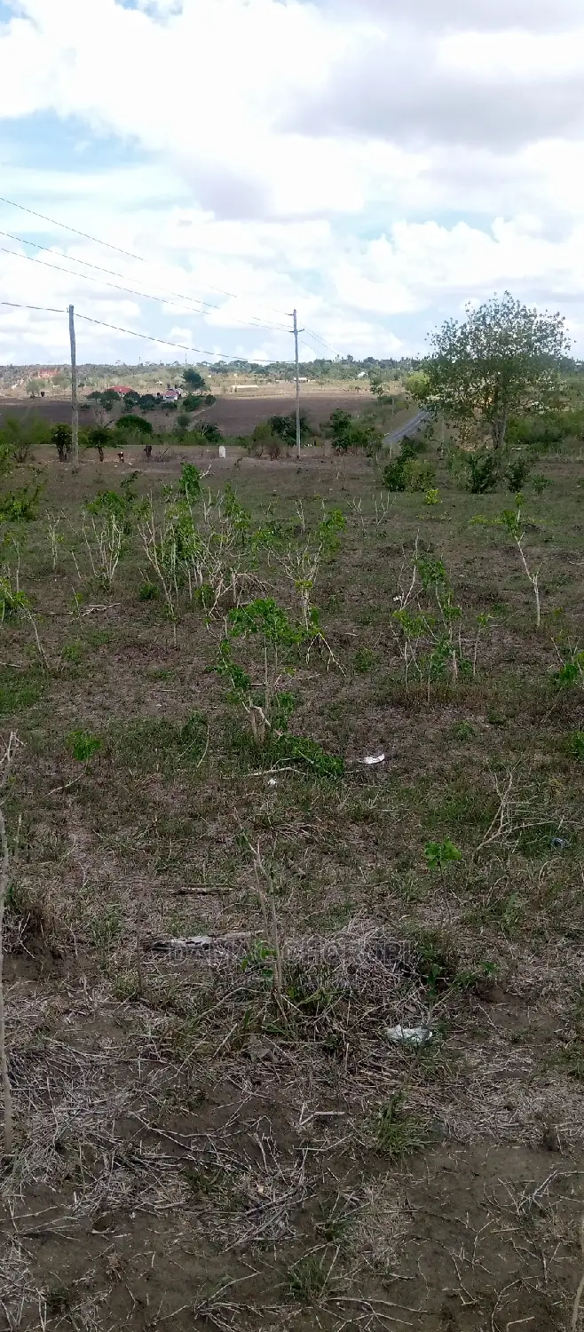 Acre 1000 Mkata for Sale