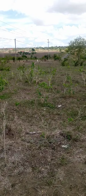 Acre 1000 Mkata for Sale