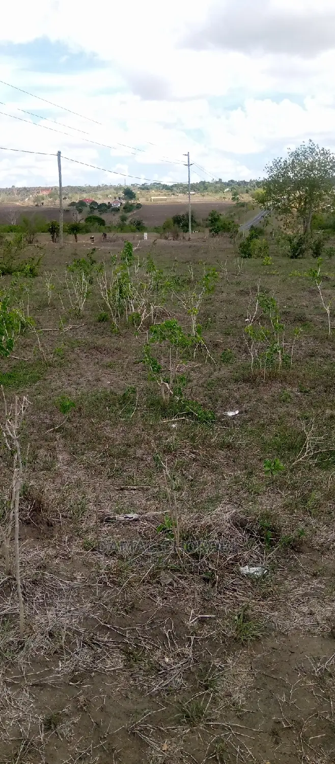 Acre 1000 Mkata for Sale