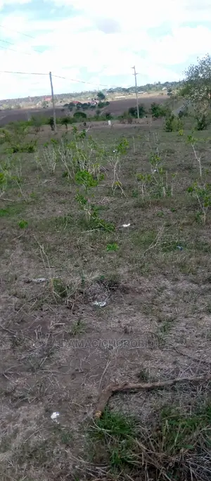 Acre 1000 Mkata for Sale