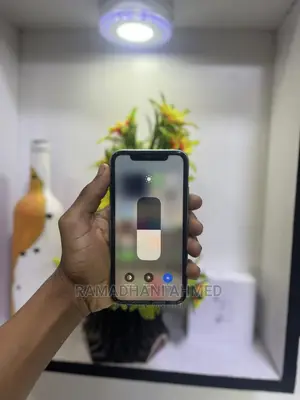 Apple iPhone 11 256 GB Purple