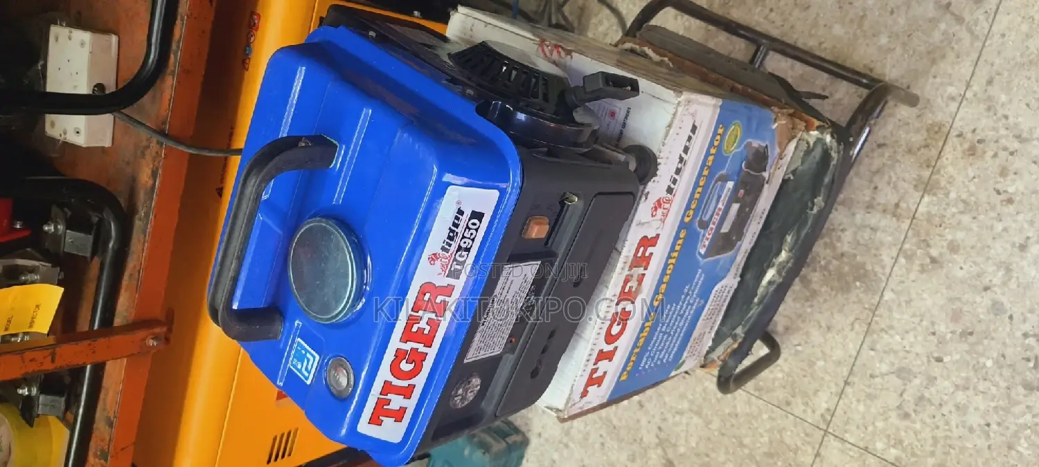 Tiger Tg950 Portable Generator 500W
