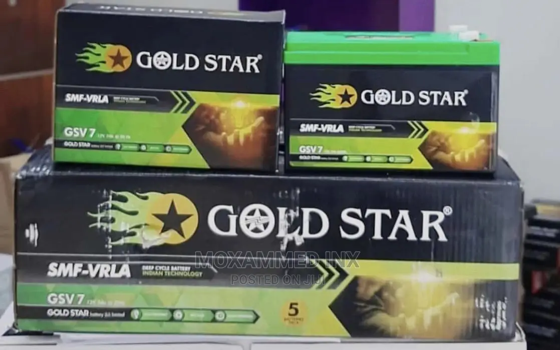 Golden Star 12V 7AH Battery