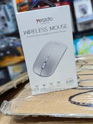 Portable Rechargeable Wireless Mouse