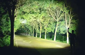 Security Flashlight